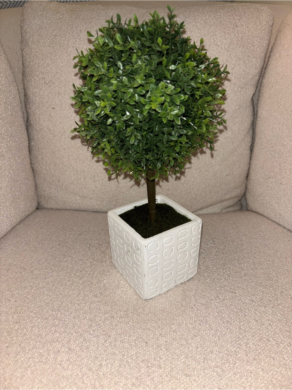 Decorative Green Boxwood Topiary in White Ceramic Planter